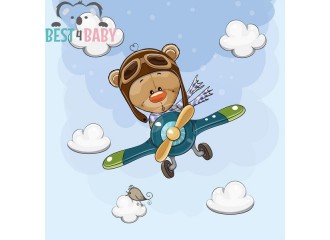 Teddy drives a Plane Poster - from 75 x 75 cm