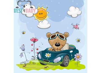 Teddy rides a Car Poster - from 75 x 75 cm